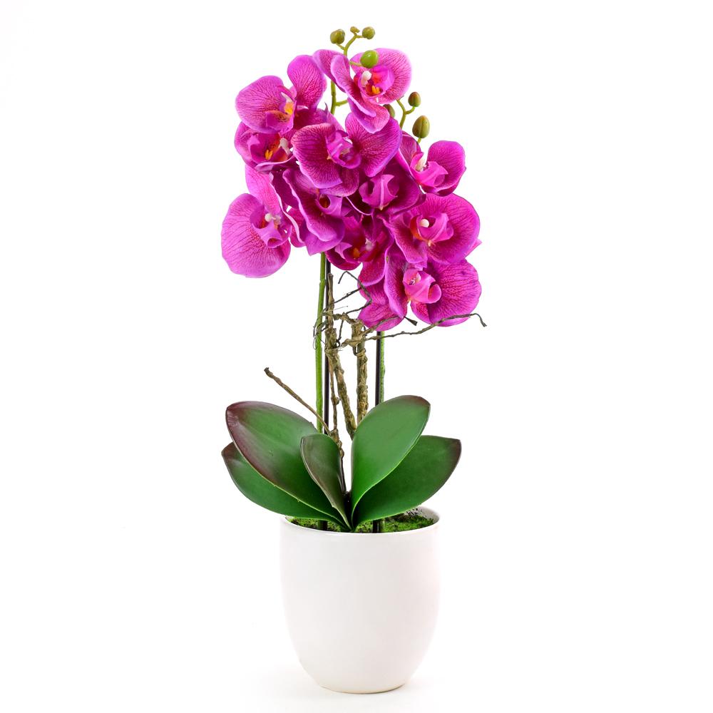 ORCHIDEJ V KVETINÁČI růžová_1
